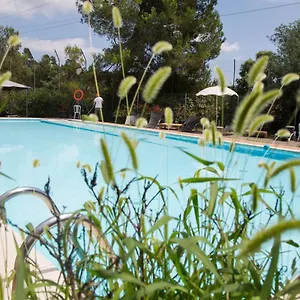 Inout , La Floresta Pearson Spanien